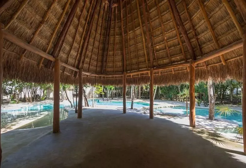Tu Casa Condos