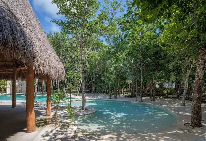 Tu Casa Condos