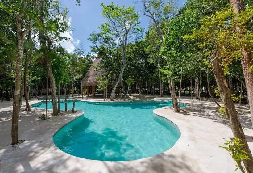 Tu Casa Condos