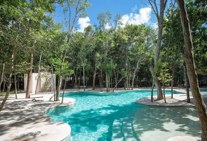 Tu Casa Condos
