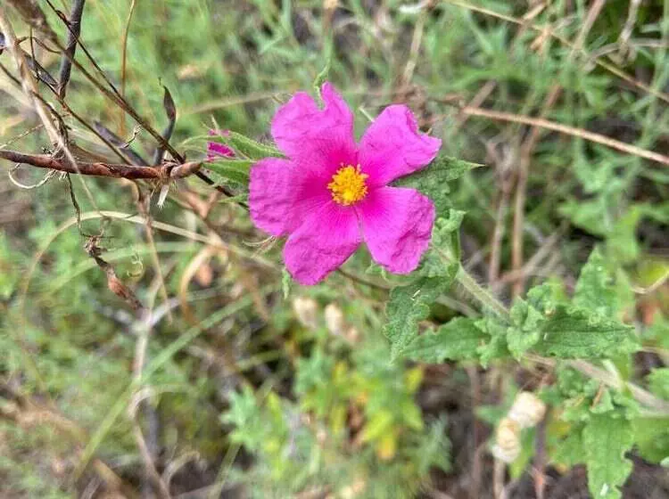 Visitar Bioucas I   Casa Inteira Familiar E Grupo De Amigos