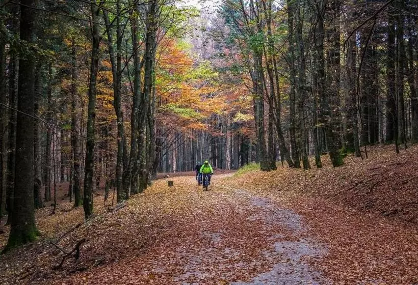 Hotelli Albergo Roma