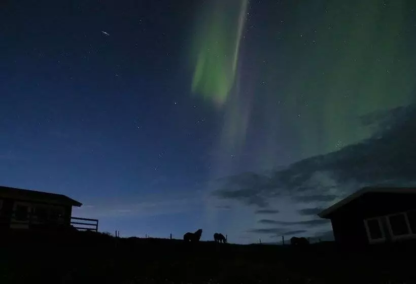 پانسیون Hestheimar