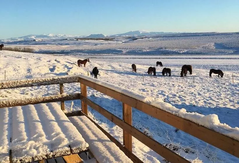 پانسیون Hestheimar