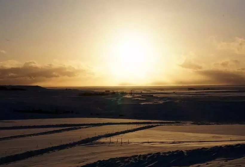 پانسیون Hestheimar