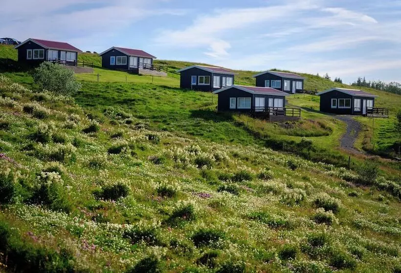 پانسیون Hestheimar