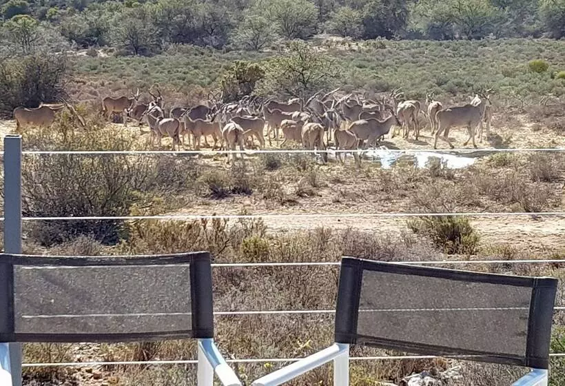 Majatalo Rooiberg Safaris