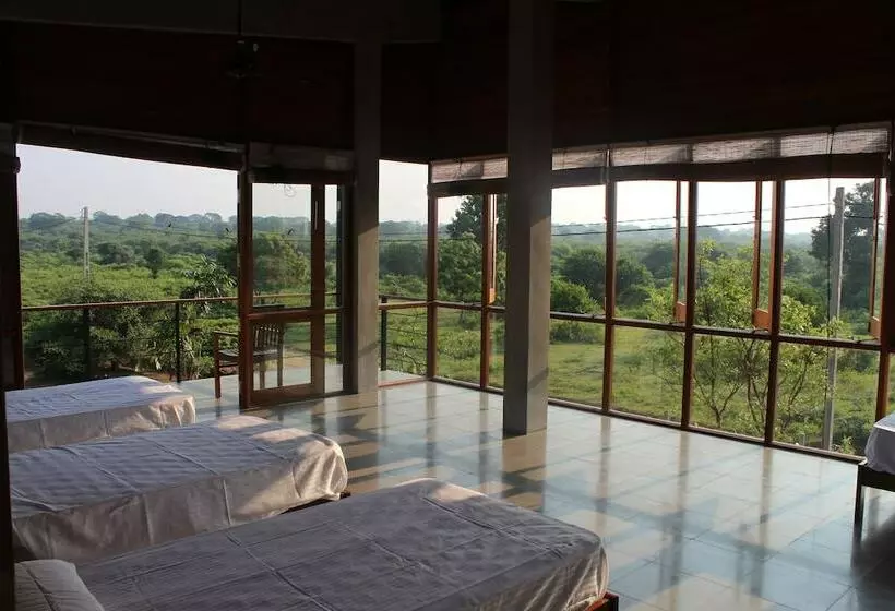 پانسیون Tree Tops Yala