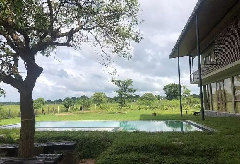 پانسیون Tree Tops Yala