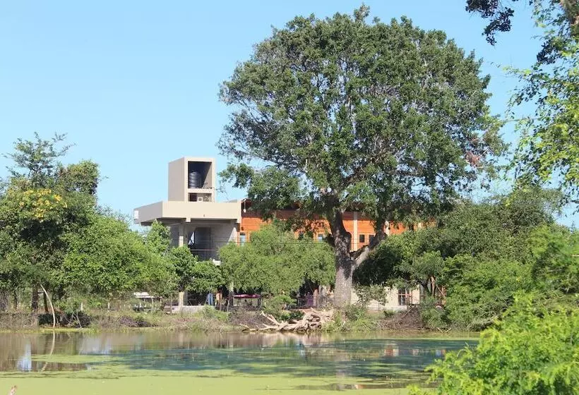 پانسیون Tree Tops Yala