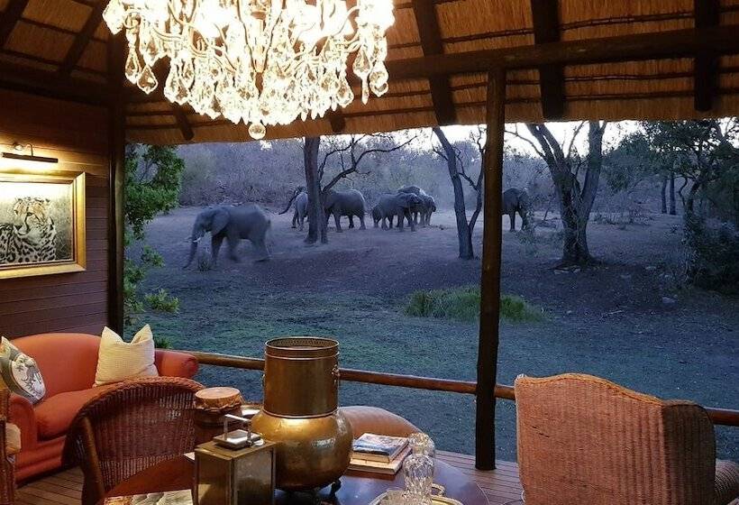 בית מלון כפרי Camp Ndlovu