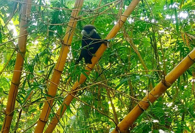 پانسیون Aluthgedara Guest House