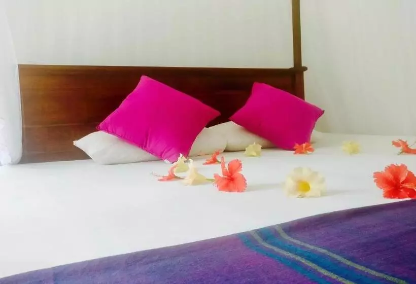 ペンション Aluthgedara Guest House