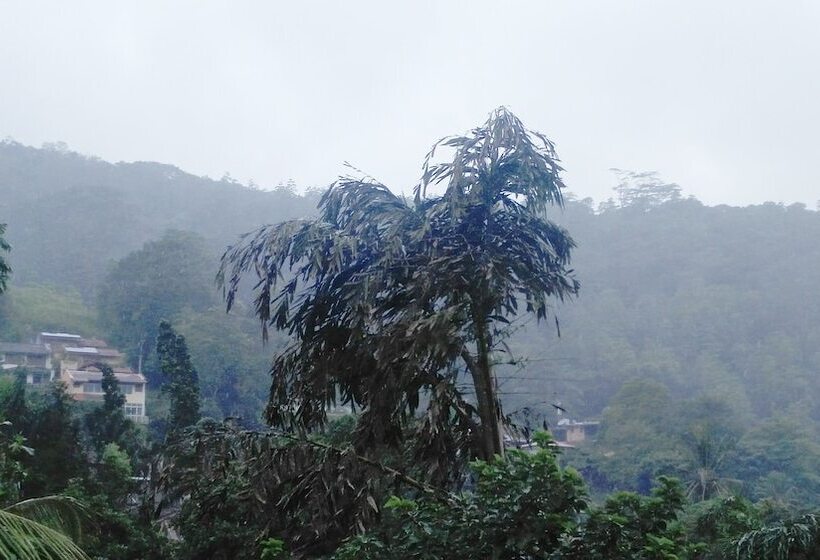 פנסיון Cloud Inn Kandy Homestay