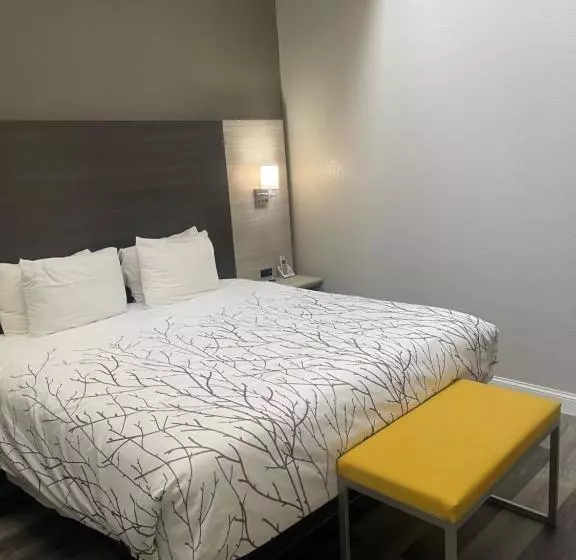 ホテル Hometown Inn And Suites Belle Plaine