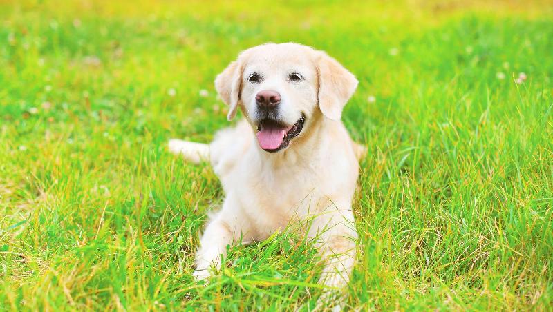 فندق Royalton Inn And Suites, Wilmington,ohio