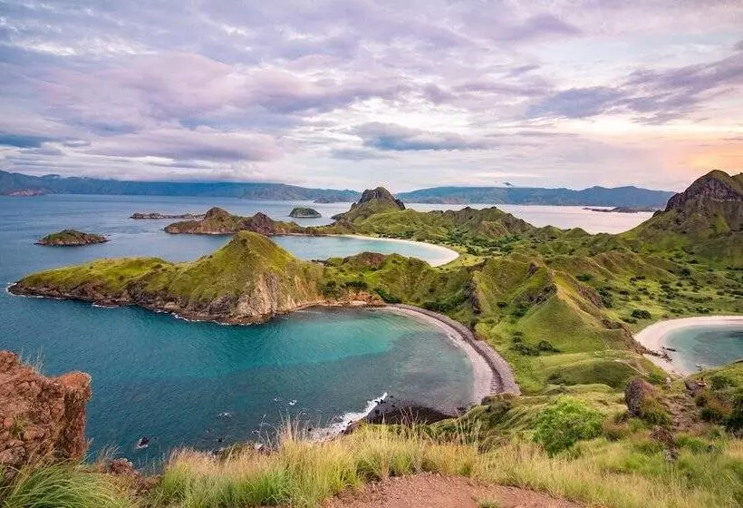 هاستل Dragon Dive Komodo Dive Resort