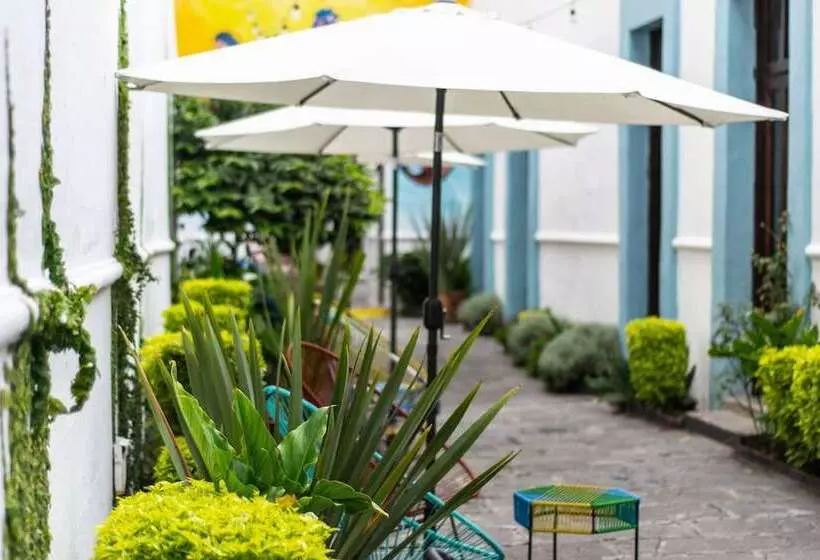 تختخواب و صبحانه Gente De Más Bnb