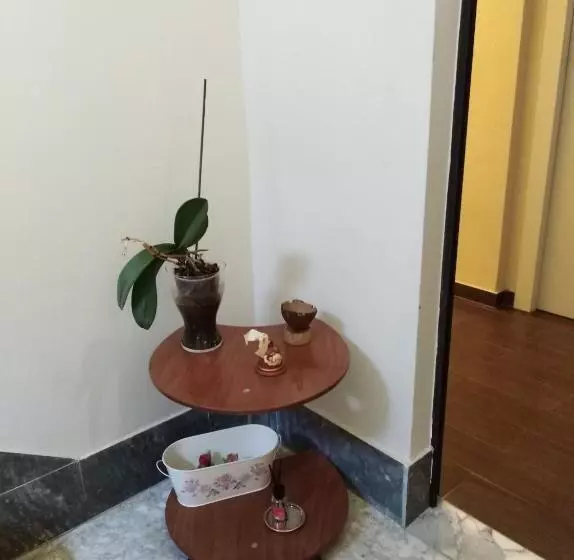 Domus Al Corso Con Servizio B&b