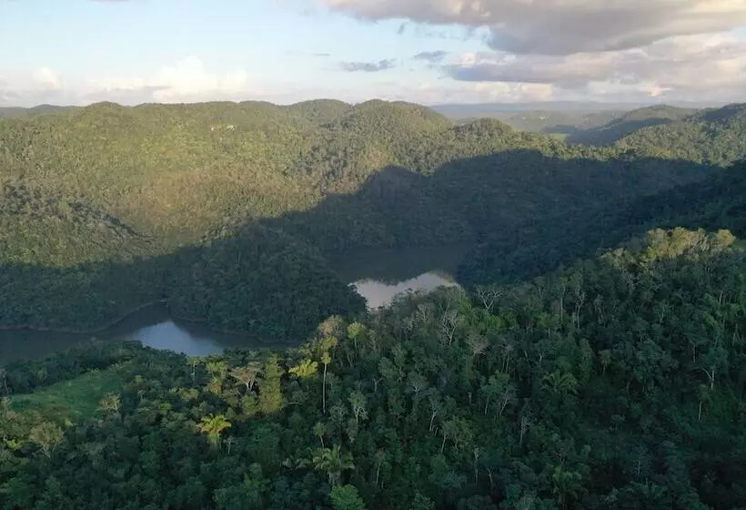 Hotelli Martz Farm Treehouses & Cabanas