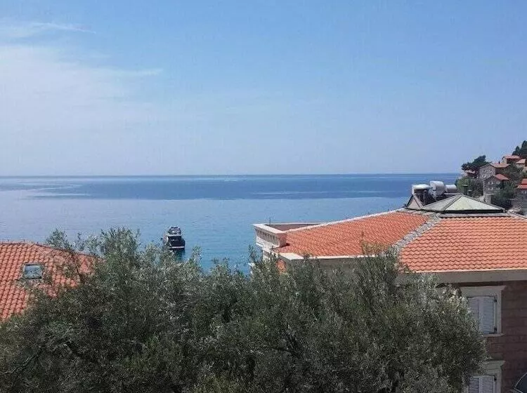 Apartments Andjus
