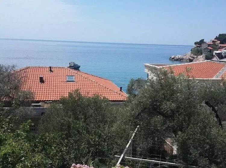 Apartments Andjus