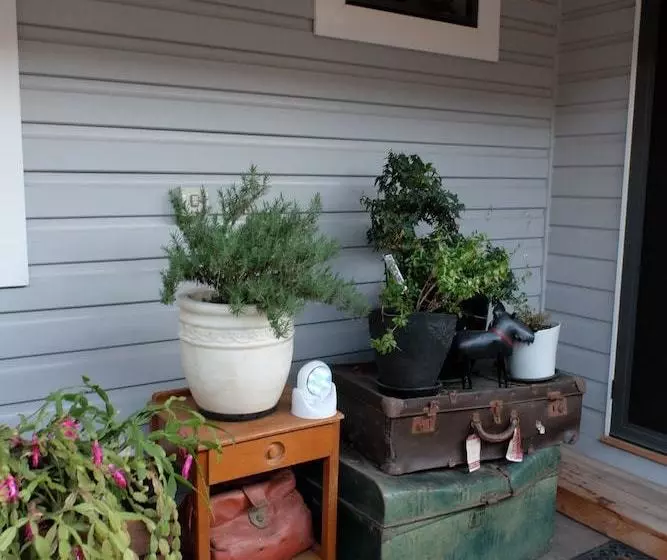 Aamiaismajoitus (B&B) Courthouse Cottage