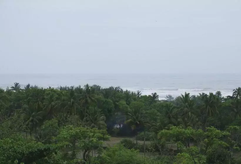 Hôtel Samira View By Yashoda Arjun