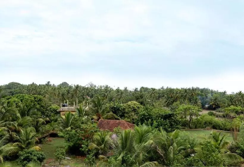 Hôtel Samira View By Yashoda Arjun
