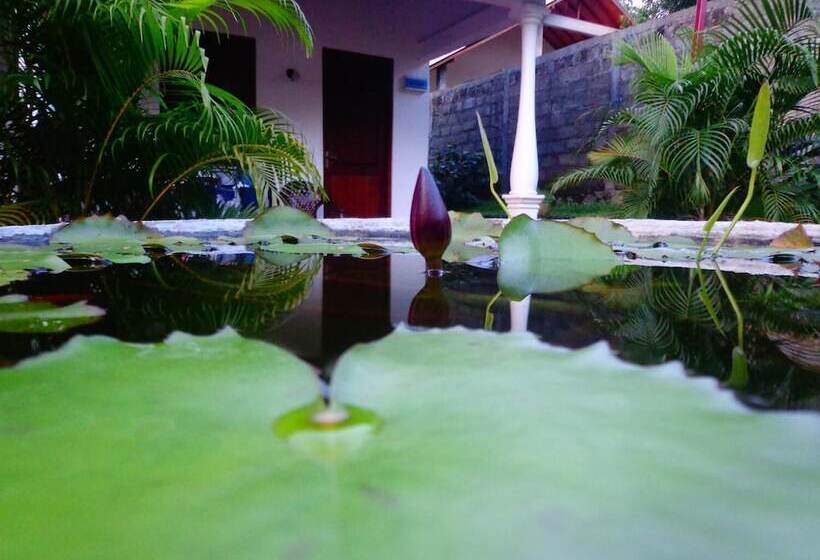 Pensió Lal Home Stay