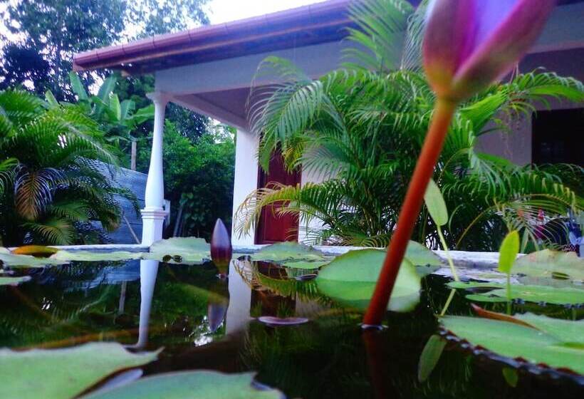 Pensió Lal Home Stay