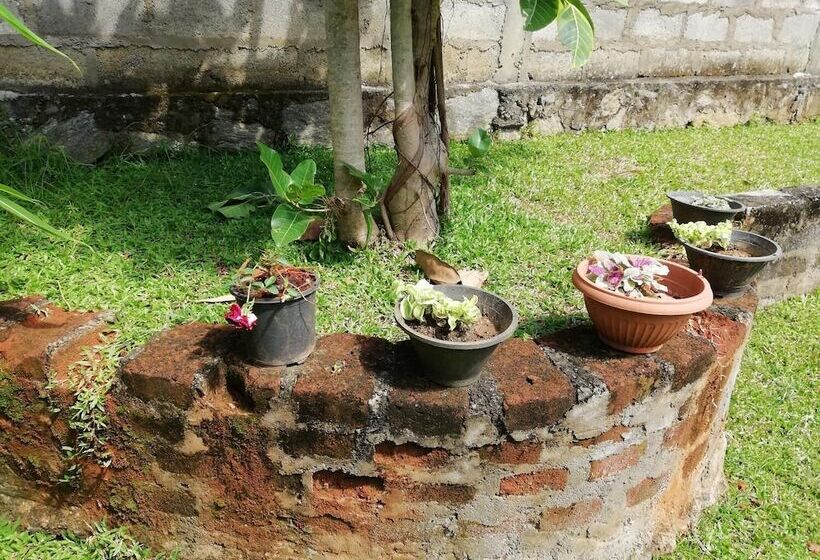 Pensió Lal Home Stay