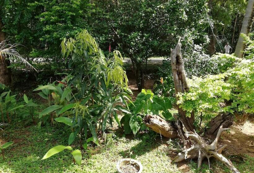 Pensió Lal Home Stay