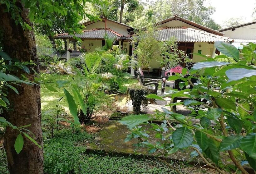 Pensió Lal Home Stay