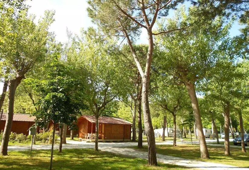 ホテル Club Del Sole Italia Family Camping Village Viareggio