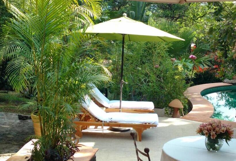 Casa D'lobo Hotel Boutique