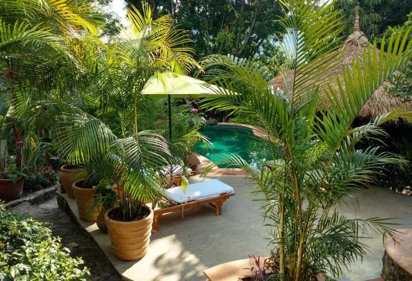 Casa D'lobo Hotel Boutique