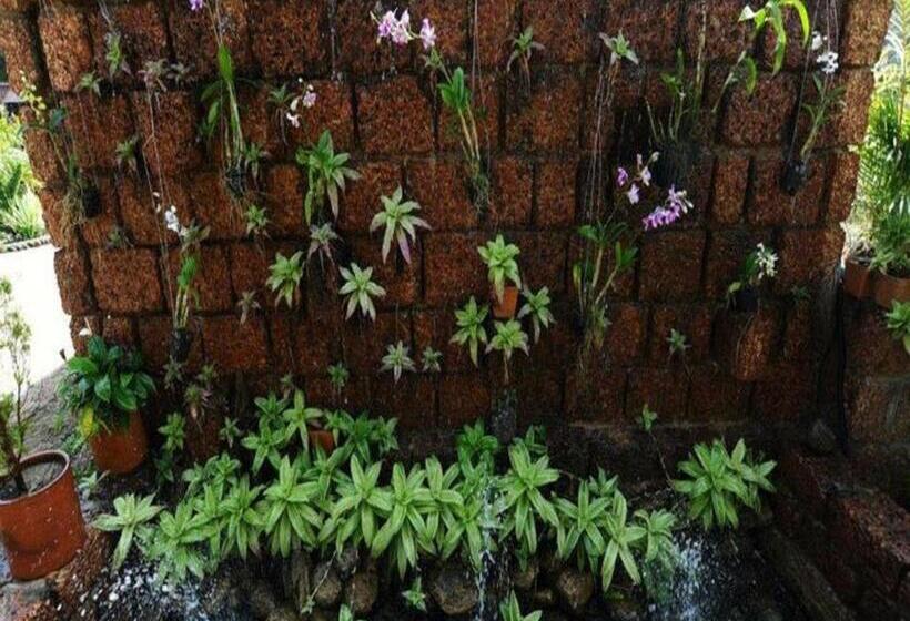 Bawga Theiddhi Hotel Kyaik Hto