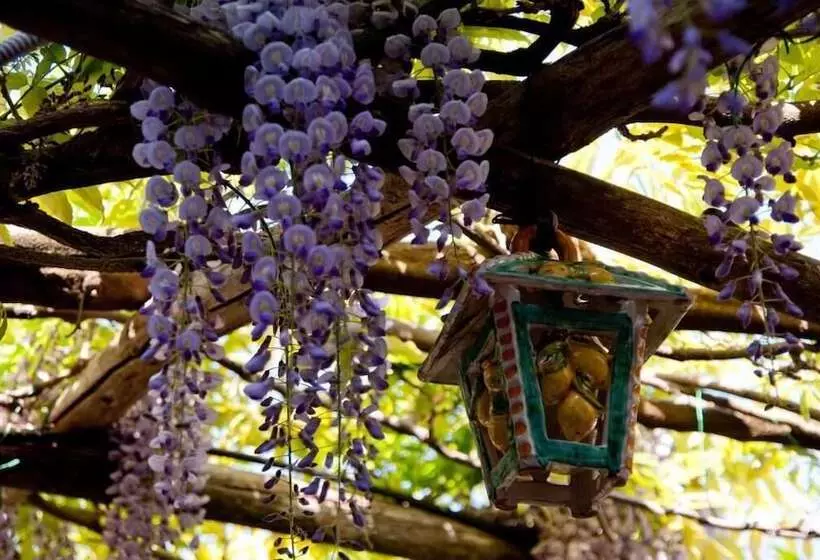 Il Roseto B&b