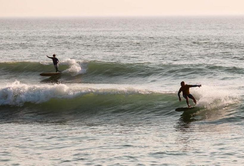 بنسيون Surfivor Surf Camp