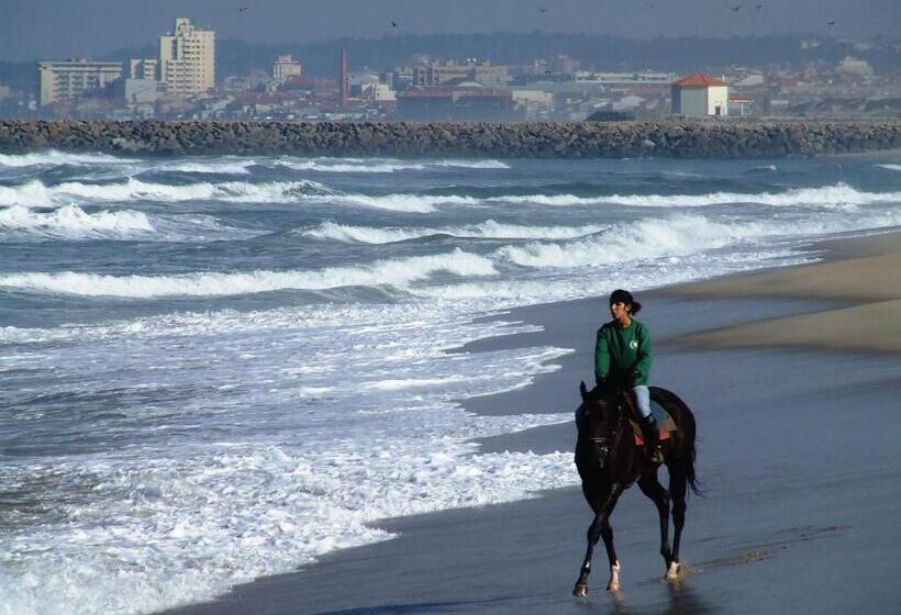 بنسيون Surfivor Surf Camp