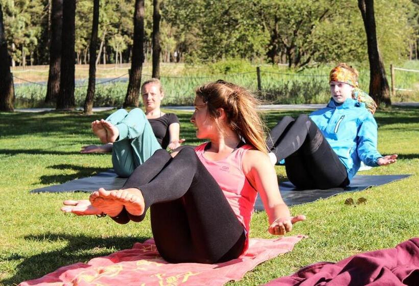 بنسيون Surfivor Surf Camp