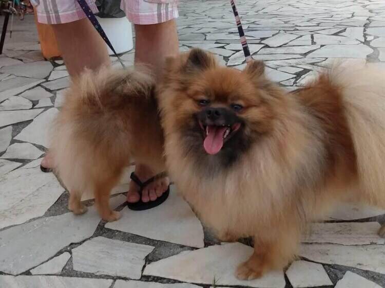 هتل Pousada Sol Do Araçá