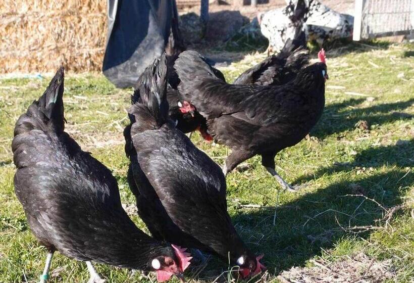 Agroturismo El Mirador De La Cigüeña