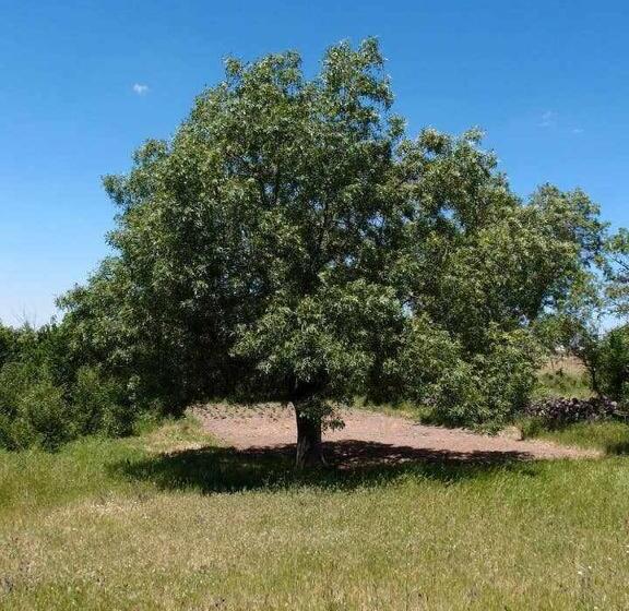 Agroturismo El Mirador De La Cigüeña