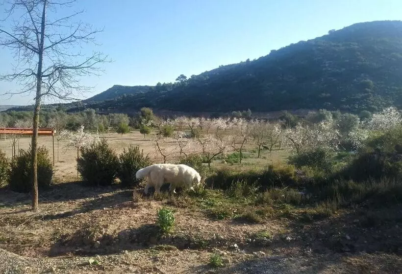 田舎風ホテル Espai Natural La Comanglora