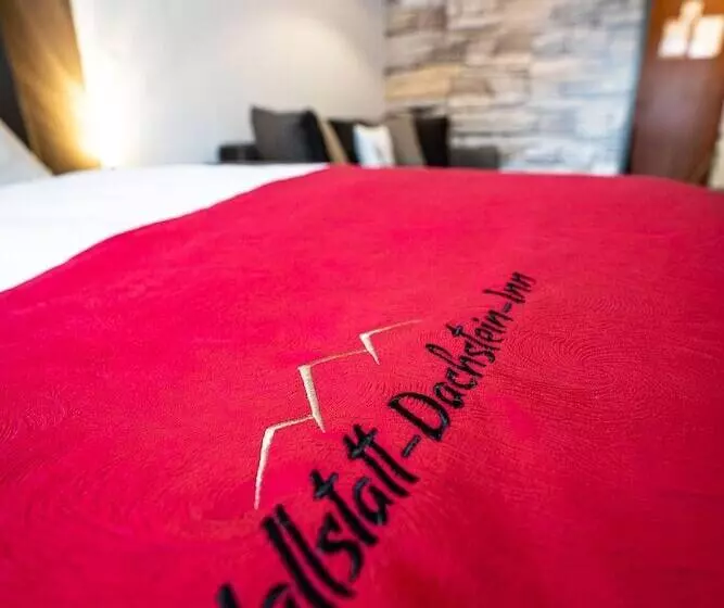 Hallstatt Dachstein Inn