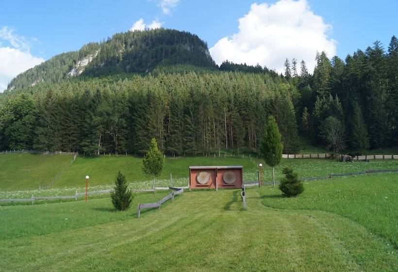 Hallstatt Dachstein Inn