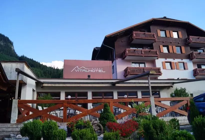 Hallstatt Dachstein Inn