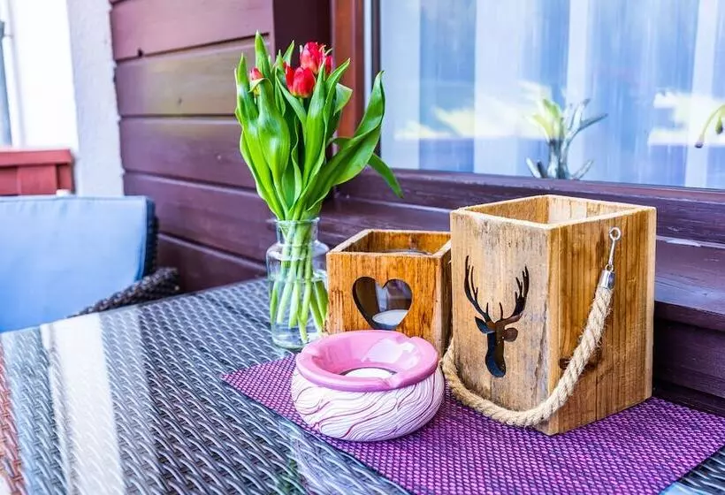 Hallstatt Dachstein Inn